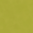 Andrew Martin JAPAN CITRUS Wallpaper