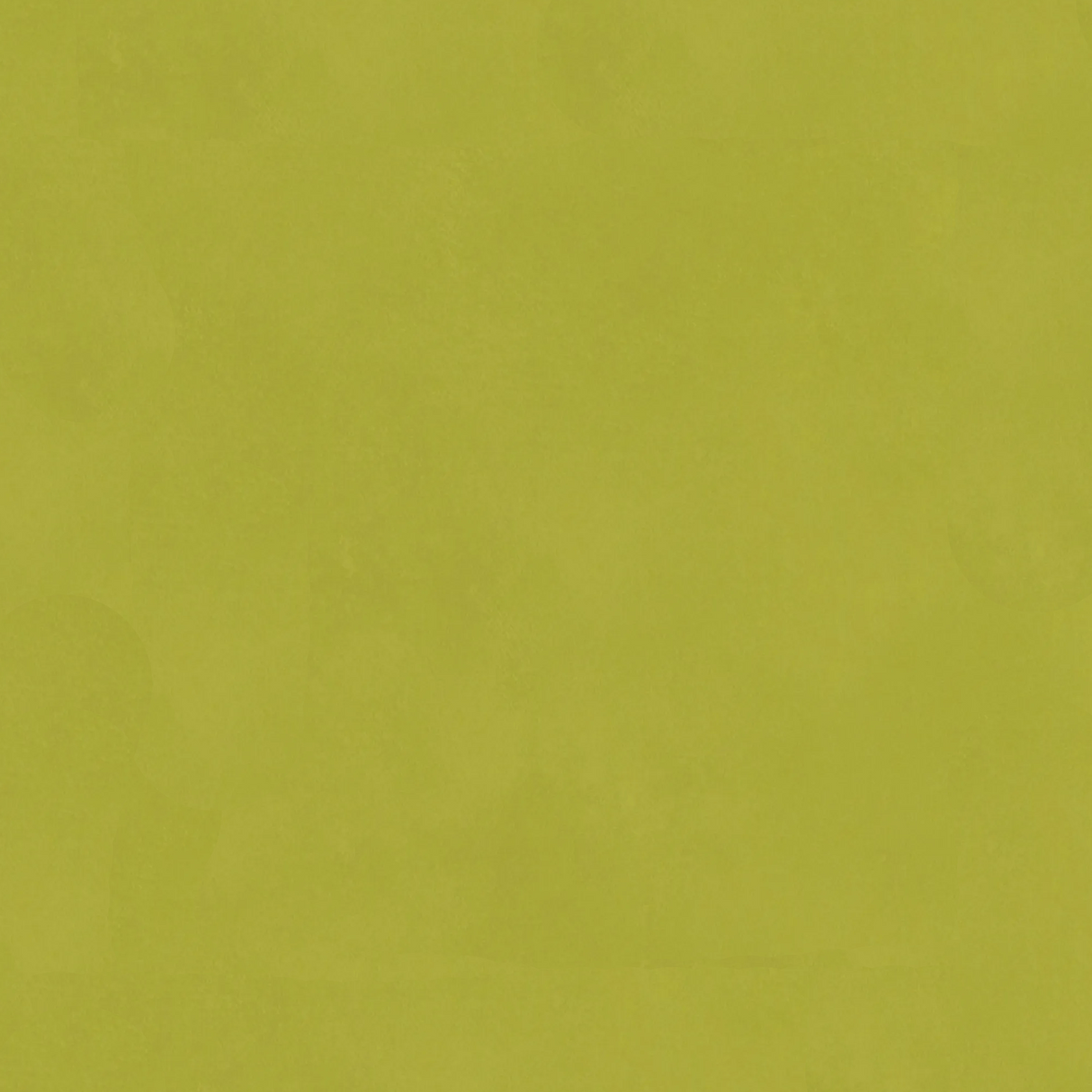 Andrew Martin JAPAN CITRUS Wallpaper