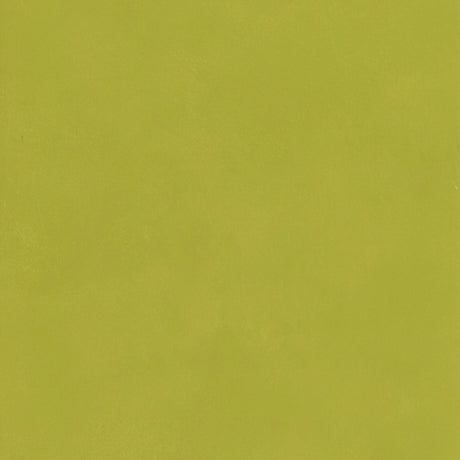 Andrew Martin JAPAN CITRUS Wallpaper