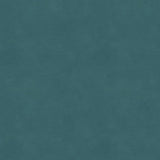 Kravet CONTRACT BALARA 5 Upholstery Fabric