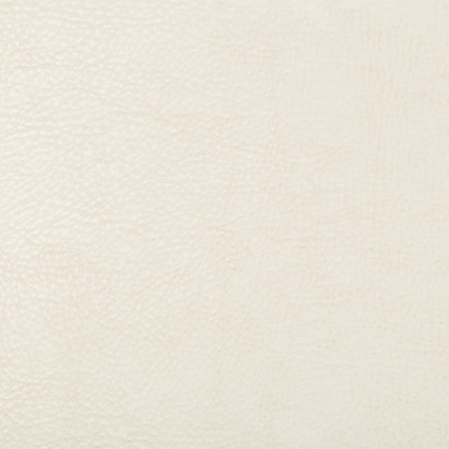Kravet DESIGN BEHOLDER 1 Upholstery Fabric
