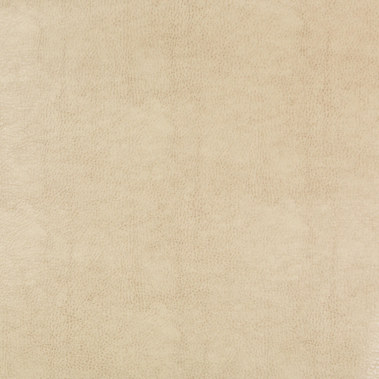 Kravet DESIGN BEHOLDER 116 Upholstery Fabric