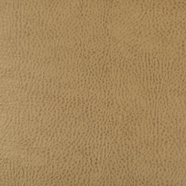 Kravet DESIGN BEHOLDER 16 Upholstery Fabric