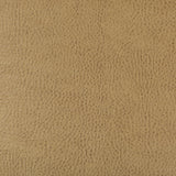 Kravet DESIGN BEHOLDER 16 Upholstery Fabric