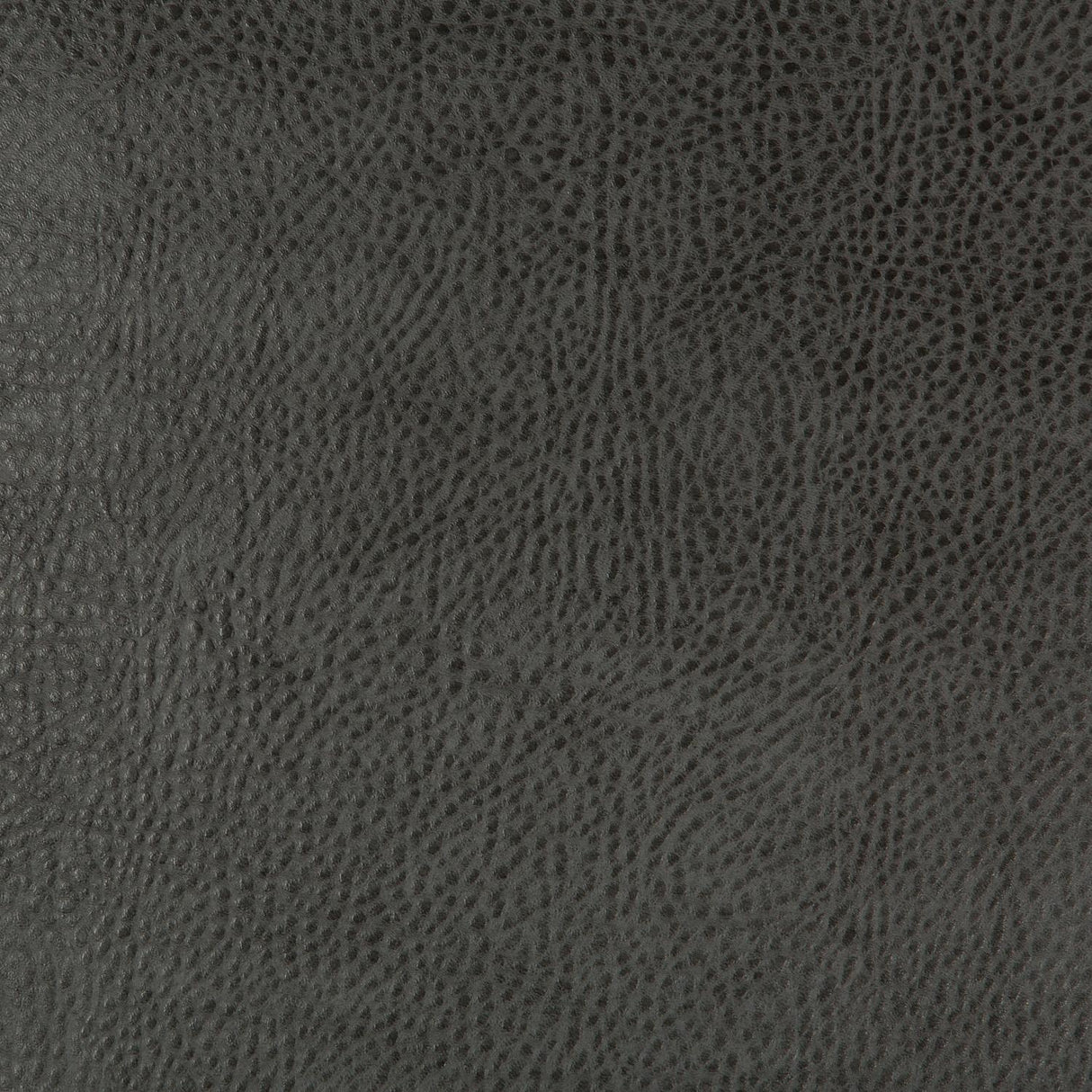 Kravet DESIGN BEHOLDER 21 Upholstery Fabric