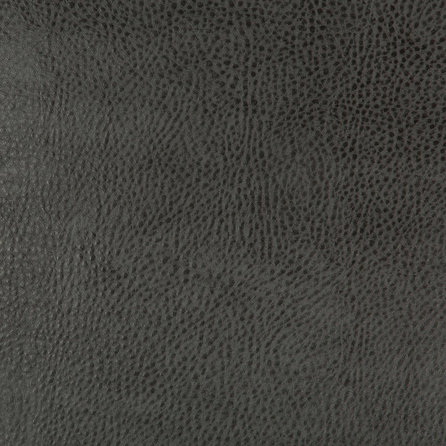 Kravet DESIGN BEHOLDER 21 Upholstery Fabric