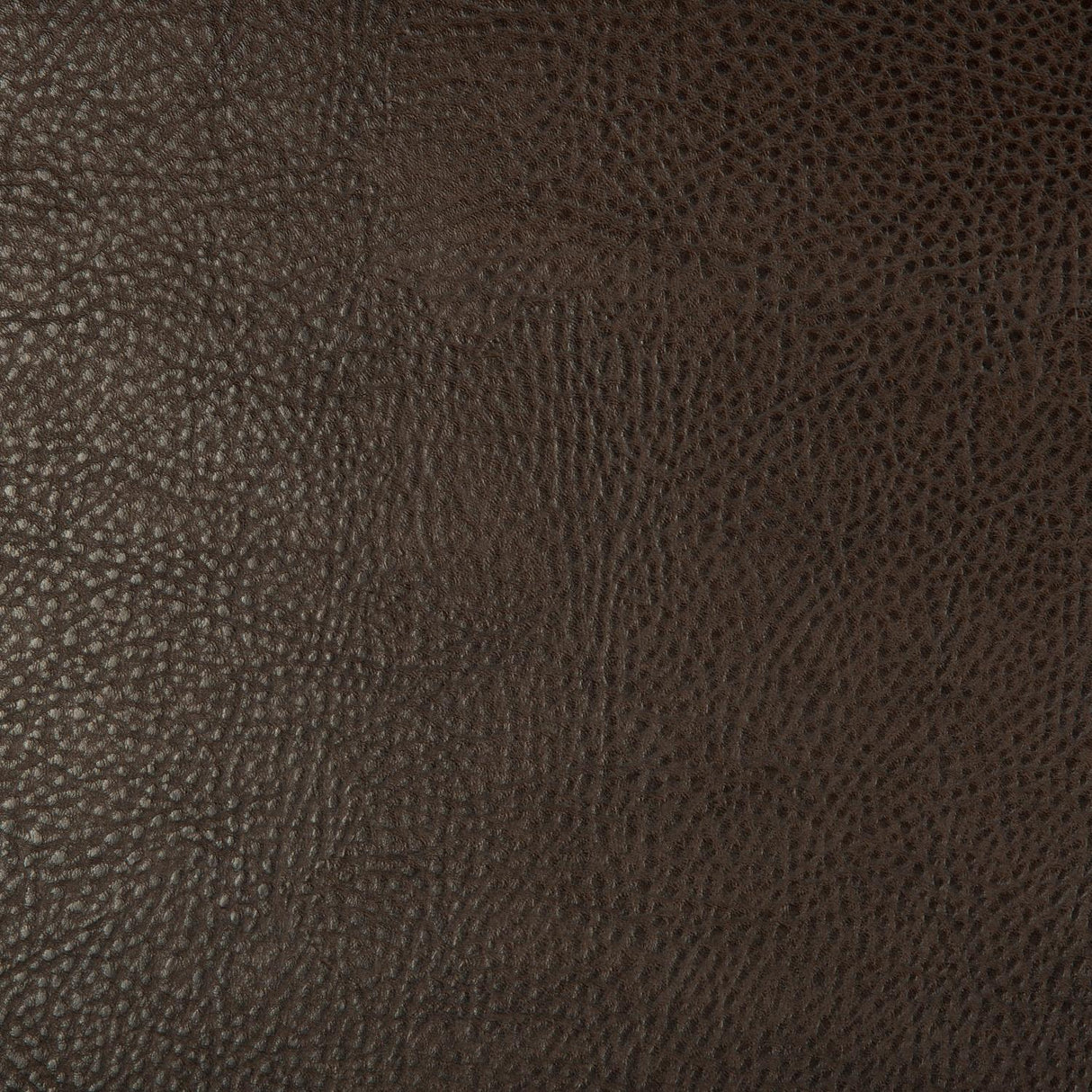 Kravet DESIGN BEHOLDER 6 Upholstery Fabric