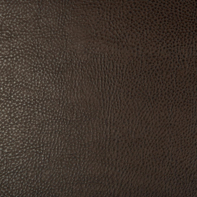 Kravet DESIGN BEHOLDER 6 Upholstery Fabric
