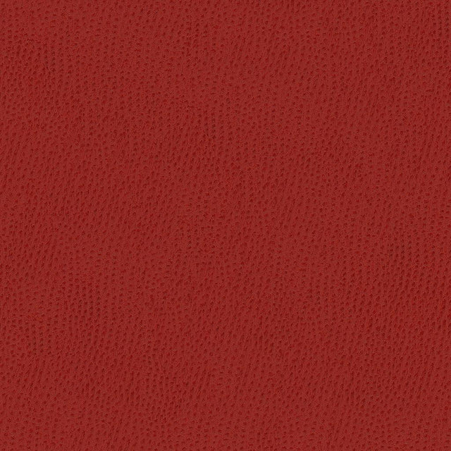 Kravet CONTRACT BELUS 19 Upholstery Fabric