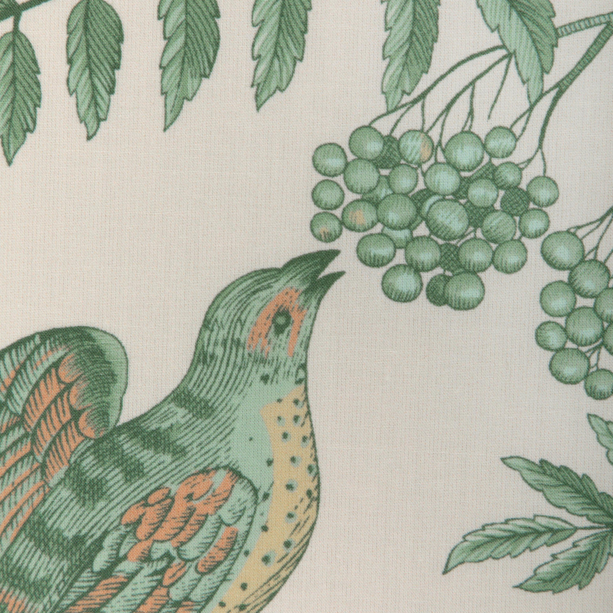Brunschwig & Fils BIRD AND THISTLE COTTON PRINT GREEN Fabric