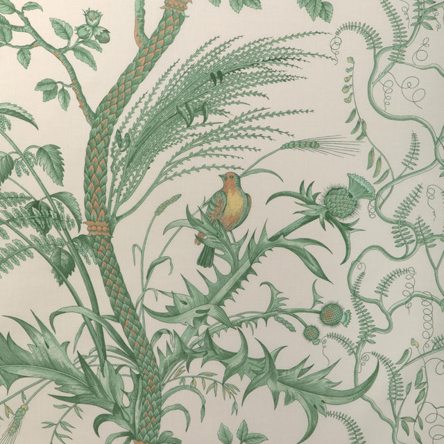 Brunschwig & Fils BIRD AND THISTLE COTTON PRINT GREEN Fabric