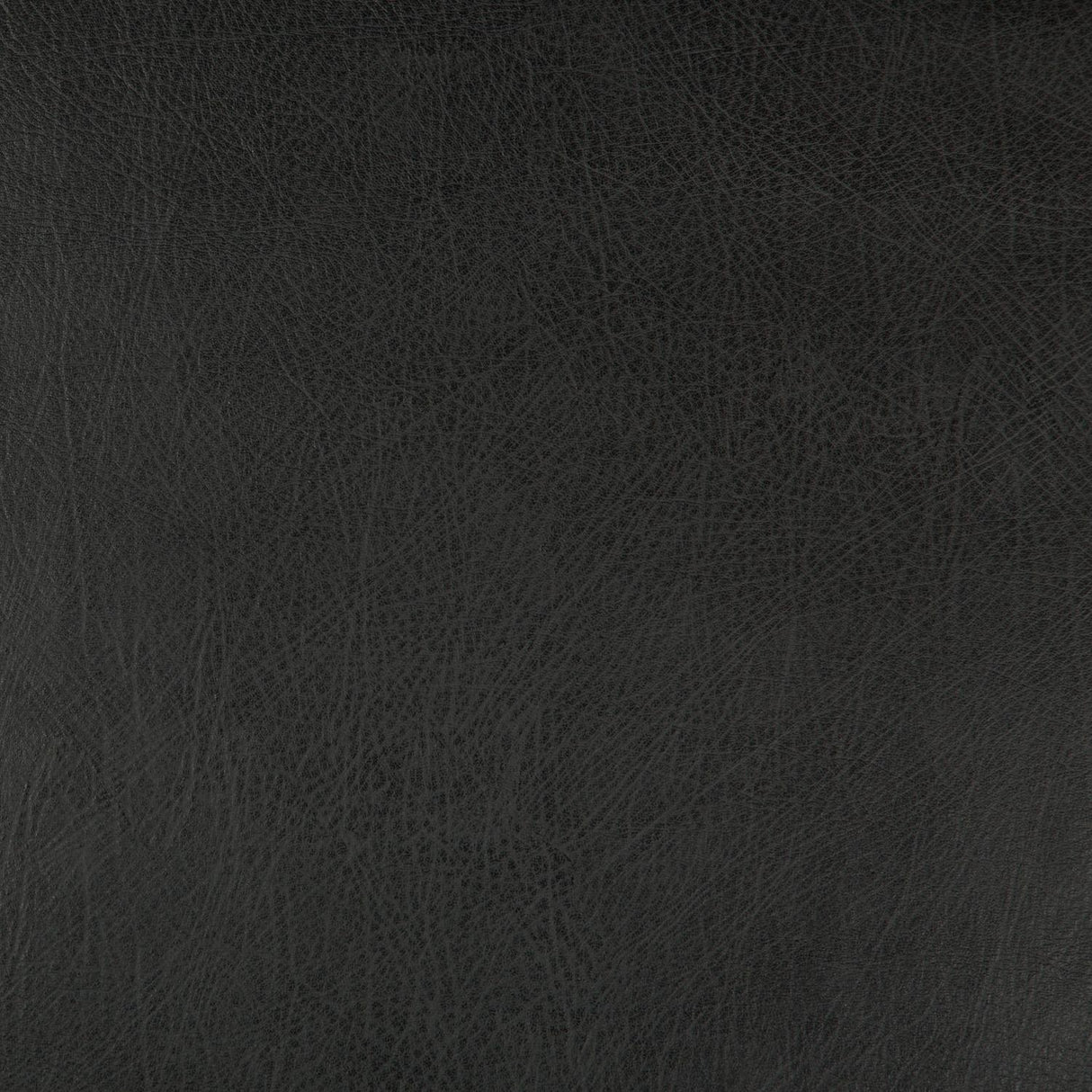 Kravet DESIGN DEIMOS 8 Upholstery Fabric