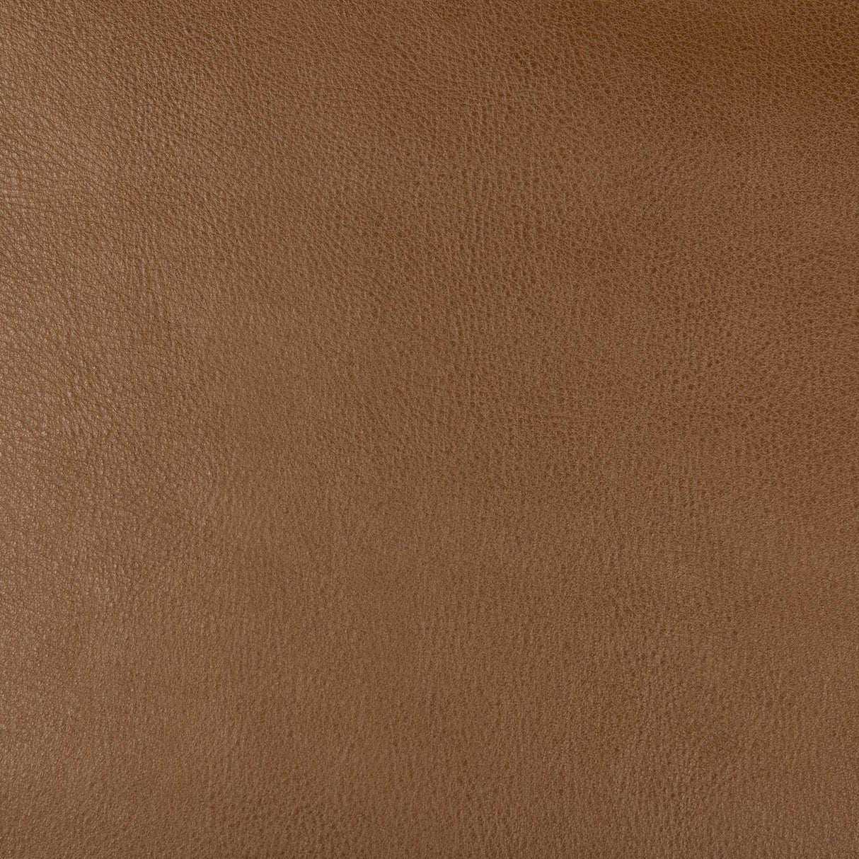 Kravet DESIGN DUST 6 Upholstery Fabric