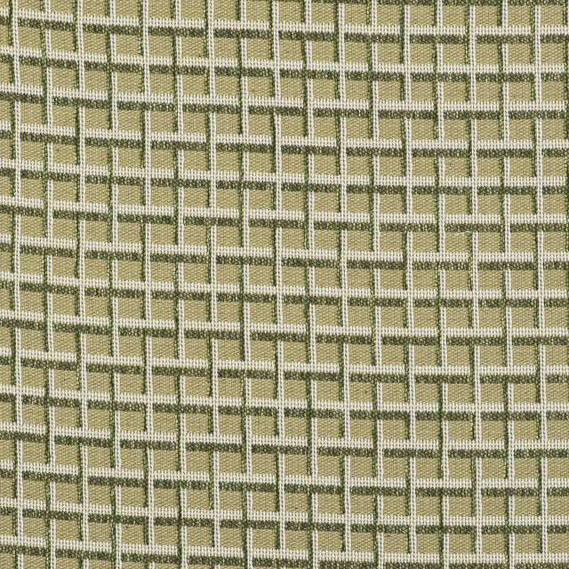 Gaston Y Daniela REJAS VERDE Upholstery Fabric