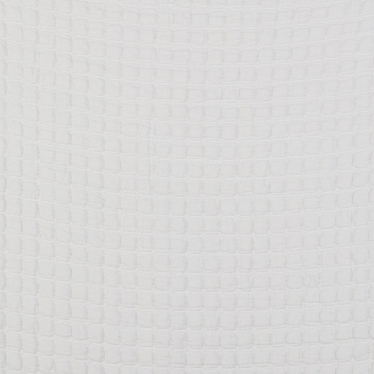 Gaston Y Daniela MORERA BLANCO Fabric