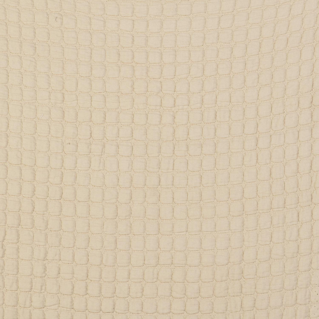 Gaston Y Daniela MORERA CRUDO Fabric