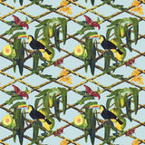 Gaston Y Daniela TUCAN ORIGINAL Fabric