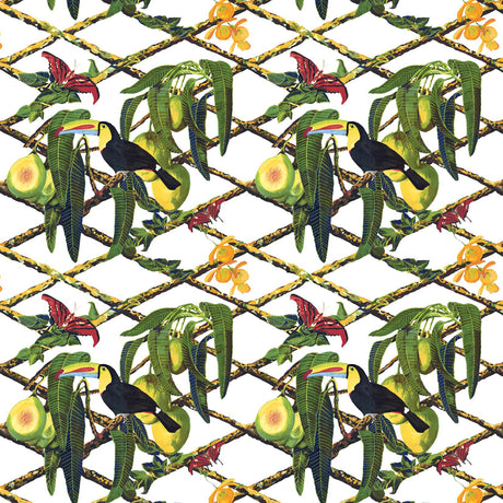 Gaston Y Daniela TUCAN FONDO BLANCO Fabric