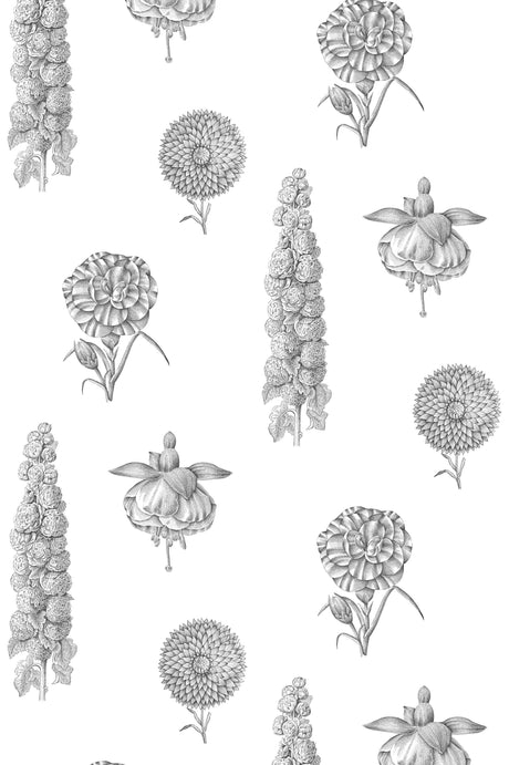 Gaston Y Daniela GUAYANA NEGRO Wallpaper