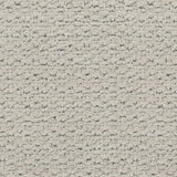 Lee Jofa DIONYSIAN VEL SILVER Upholstery Fabric