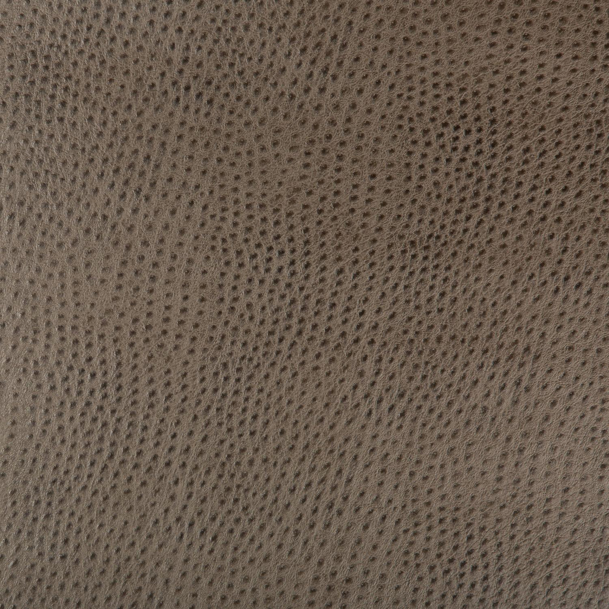 Kravet DESIGN HUBBLE 106 Upholstery Fabric