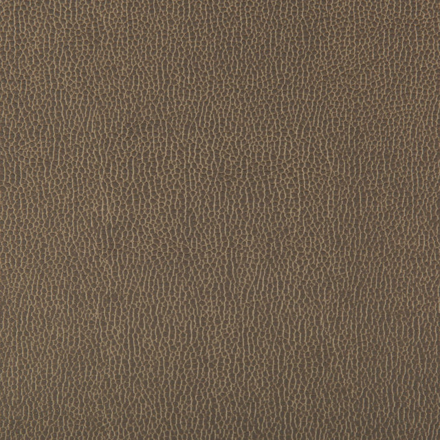 Kravet LENOX ELEPHANT Upholstery Fabric