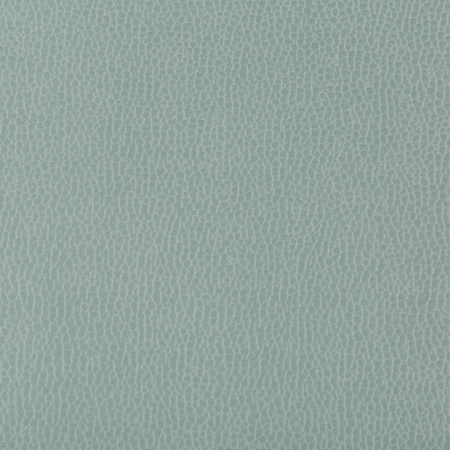 Kravet LENOX MYSTIC Upholstery Fabric