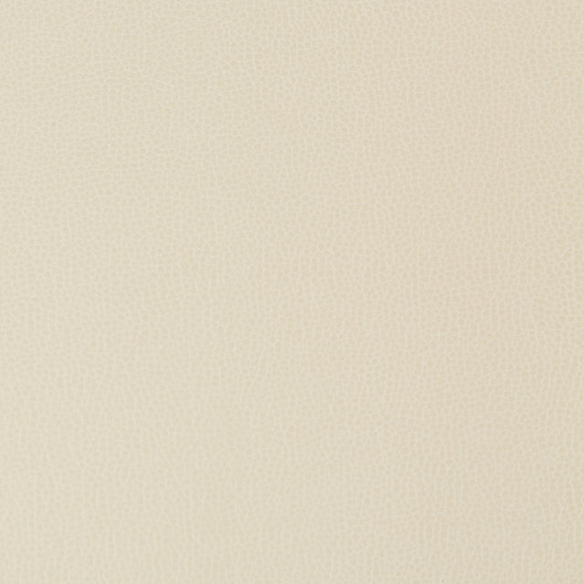 Kravet LENOX STONE Upholstery Fabric