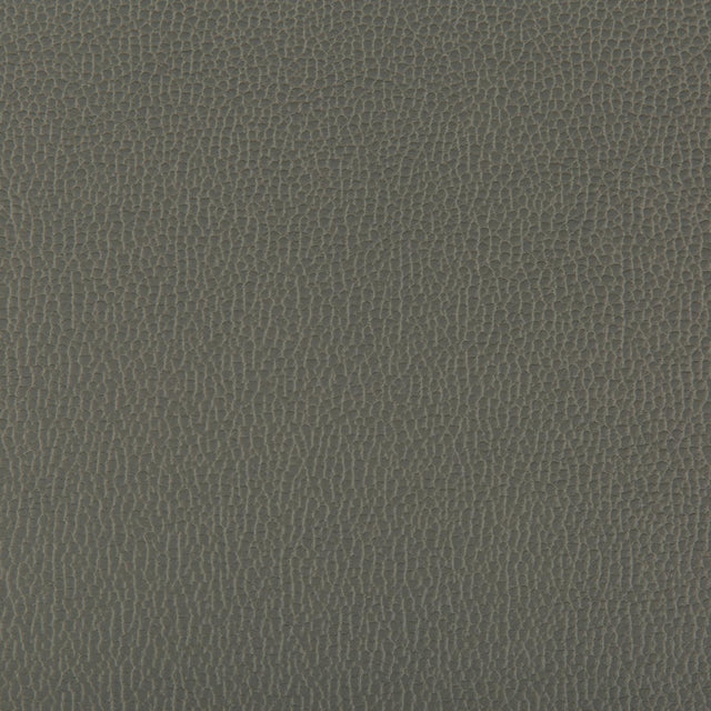 Kravet LENOX SHADOW Upholstery Fabric