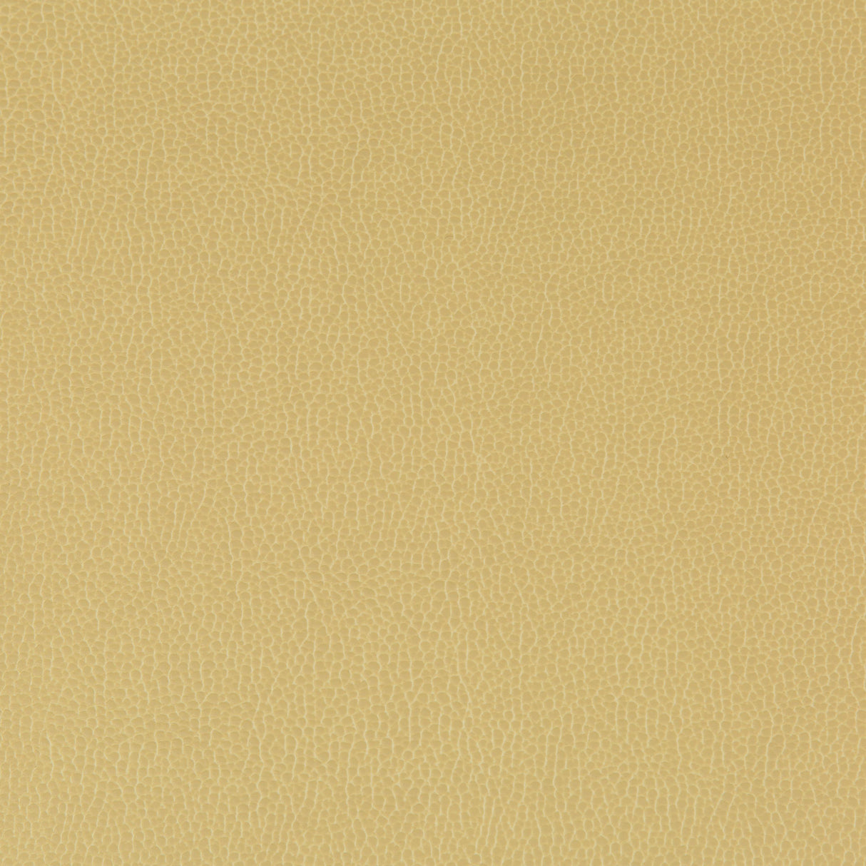 Kravet LENOX SESAME Upholstery Fabric