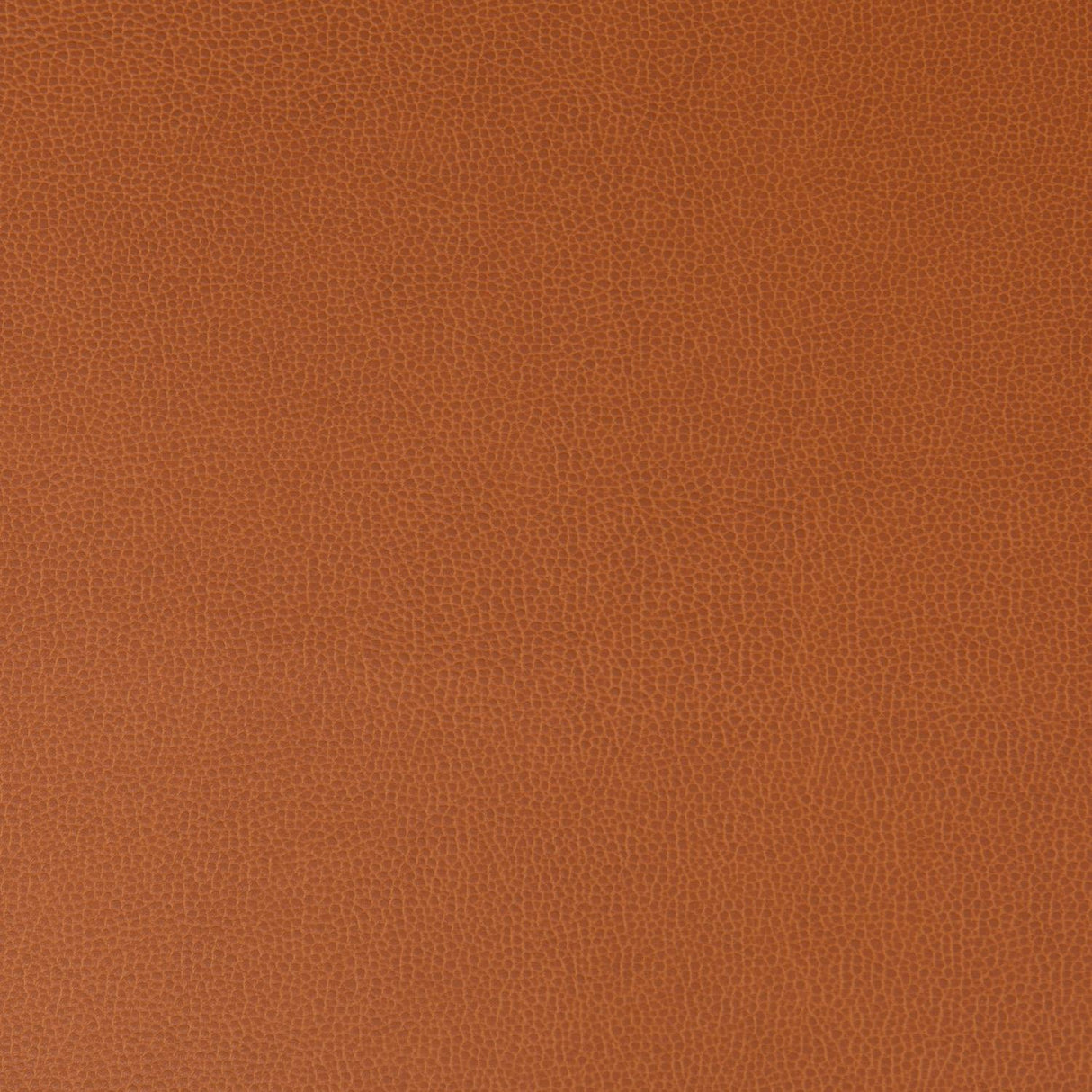 Kravet LENOX CANYON Upholstery Fabric