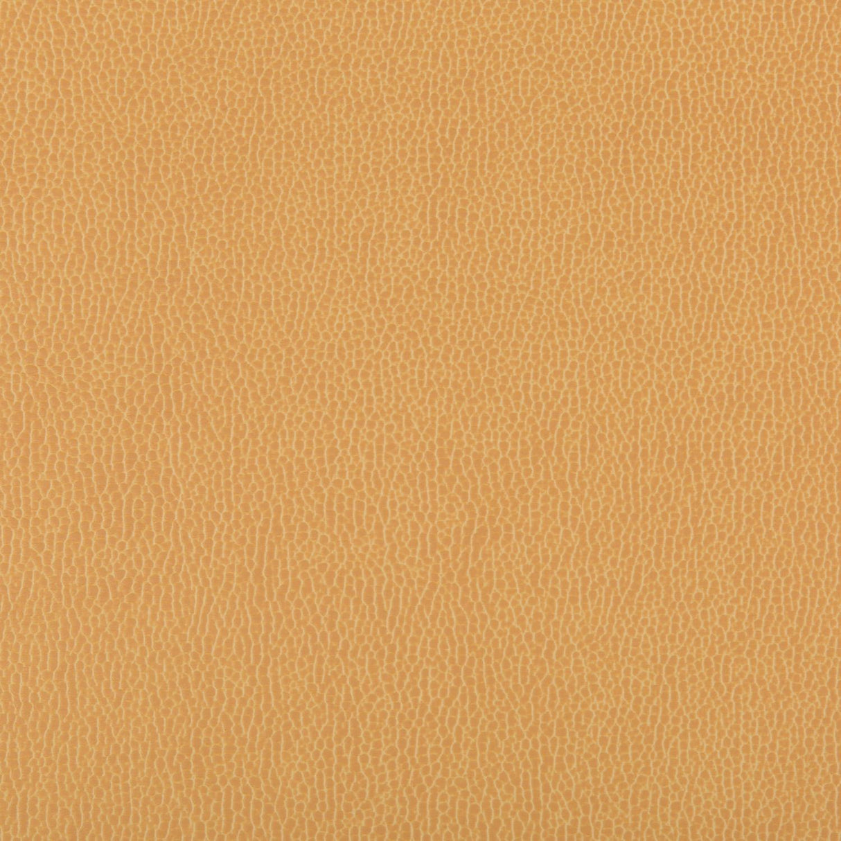 Kravet LENOX CAMEL Upholstery Fabric