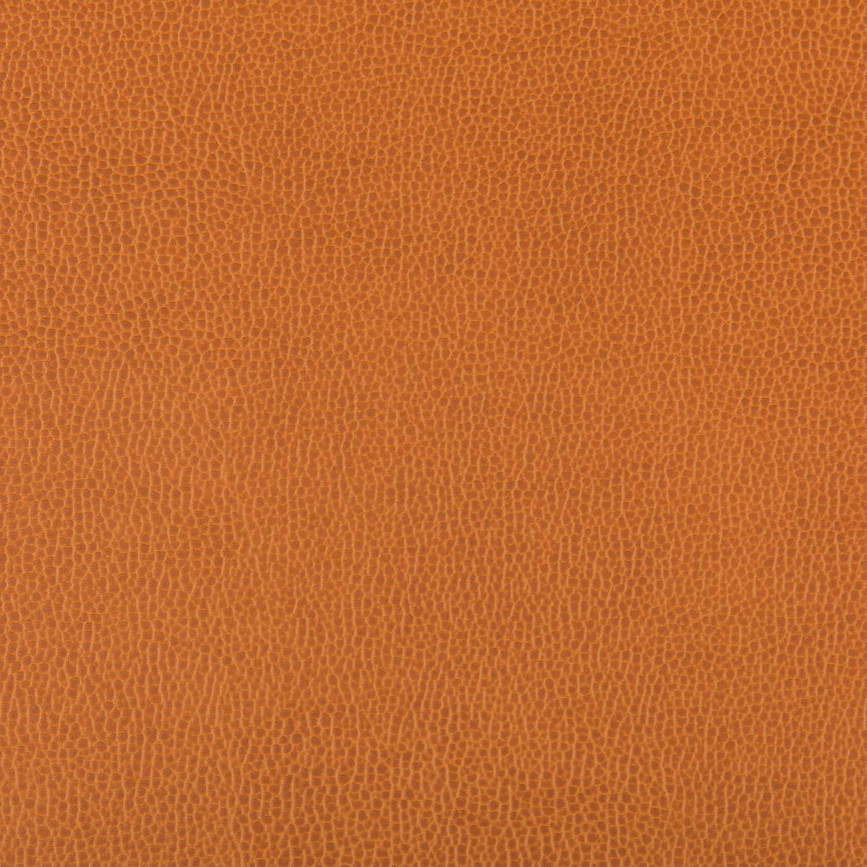 Kravet LENOX MARMALADE Upholstery Fabric