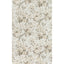 Lee Jofa GARDEN ROSES WP SAND/SABLE Wallpaper