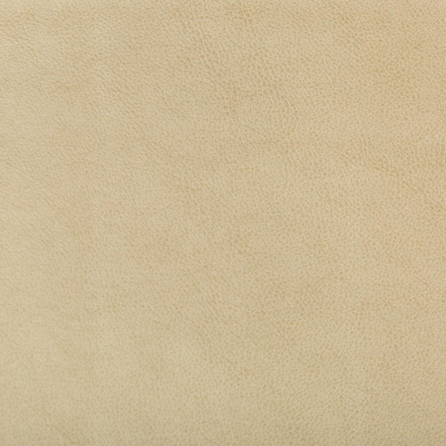 Kravet DESIGN RUFFIAN 16 Upholstery Fabric
