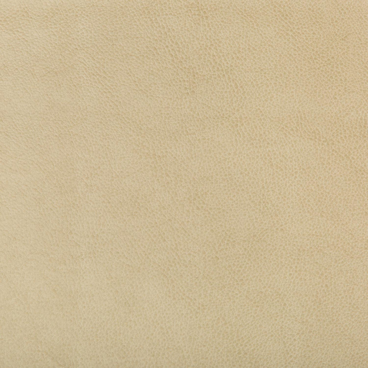 Kravet DESIGN RUFFIAN 16 Upholstery Fabric