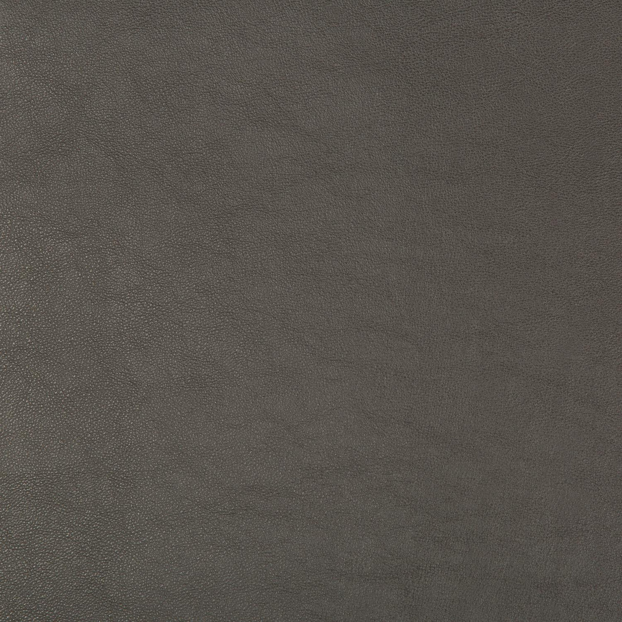 Kravet DESIGN SWAPS 21 Upholstery Fabric