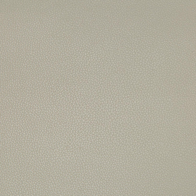 Kravet SYRUS STINGRAY Upholstery Fabric