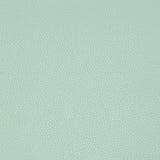 Kravet SYRUS ROBINS EGG Upholstery Fabric