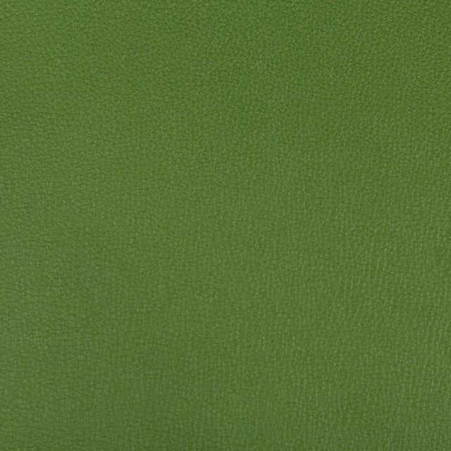 Kravet SYRUS BONSAI Upholstery Fabric