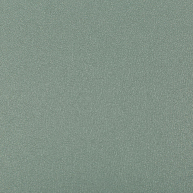 Kravet SYRUS HERBAL Upholstery Fabric