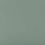 Kravet SYRUS HERBAL Upholstery Fabric