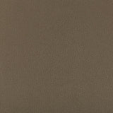 Kravet SYRUS PORCINI Upholstery Fabric