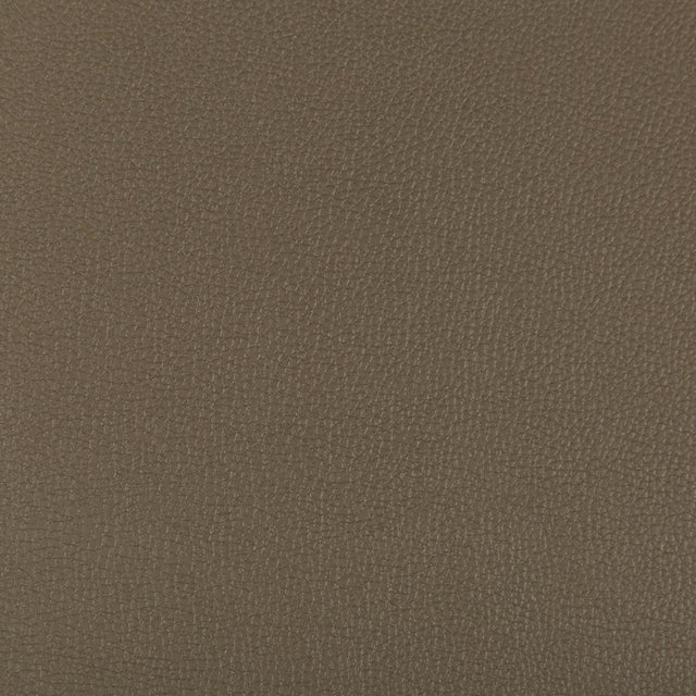 Kravet SYRUS PORCINI Upholstery Fabric