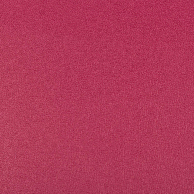 Kravet SYRUS FUSCHIA Upholstery Fabric