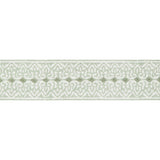 Lee Jofa PAIGE TAPE MIST Trim