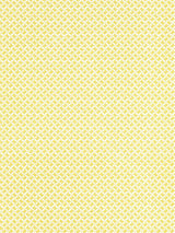 Scalamandre Dash & Dot Print Pollen Fabric