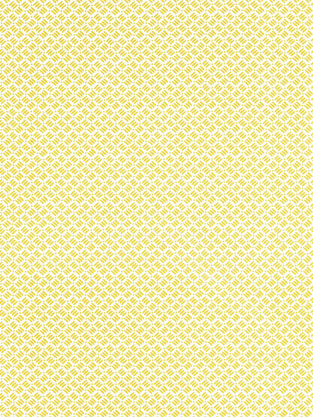 Scalamandre Dash & Dot Print Pollen Fabric