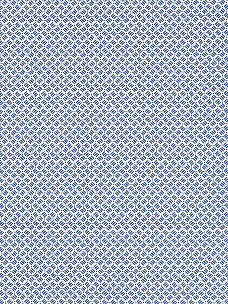 Scalamandre Dash & Dot Print Marine Fabric