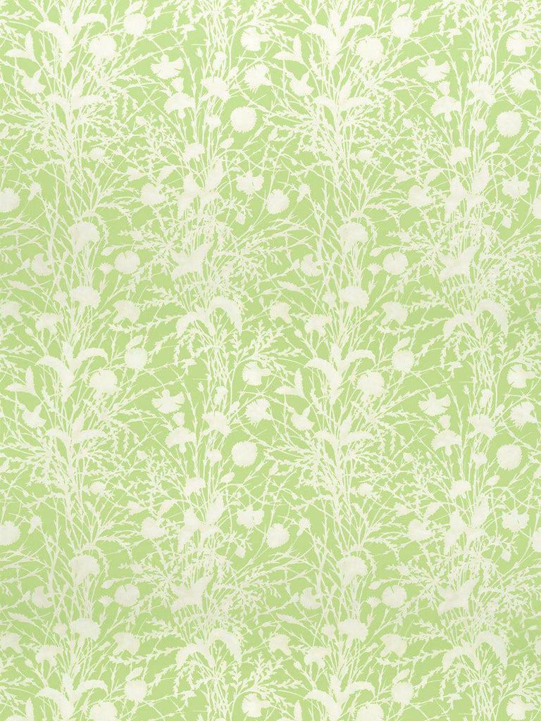 Grey Watkins WILDFLOWER GRASSHOPPER Fabric